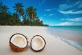 Two halfs of coconut fruits against sea at the tropical sand beach. Punta Cana Royalty Free Stock Photo