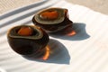 Two halves of black fermented century egg lying on white plate with bright beautiful shadows. Traditional chineese food Royalty Free Stock Photo