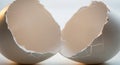 Two halves of a broken eggshell are displayed against a neutral background. The shells are white Royalty Free Stock Photo