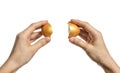 Two halves of a broken golden egg on white Royalty Free Stock Photo