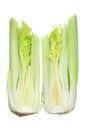 Two Halves of Celery Royalty Free Stock Photo