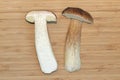 Two halves of an edible mushroom cep (Boletus edulis) lying on a cutting board. Royalty Free Stock Photo