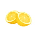 Two halves of juicy lemon. Tasty citrus fruit. Natural product. Detailed flat vector design