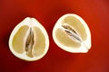 Two halves of pomelo on a red background Royalty Free Stock Photo