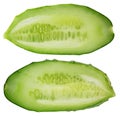 Two halves of a real fresh short green European cucumber