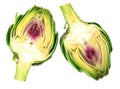 Two halves of ripe green artichokes on a white background Royalty Free Stock Photo