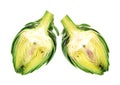 Two halves of ripe green artichokes on a white background Royalty Free Stock Photo