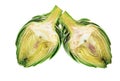 two halves of ripe green artichokes on a white background Royalty Free Stock Photo