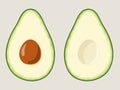 Two halves of sliced avocado with pit. Vector illustration. Royalty Free Stock Photo