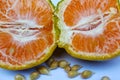 Two halves of tangerine Royalty Free Stock Photo