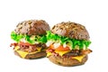 Two hamburgers with cereal buns on white background Royalty Free Stock Photo