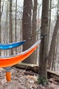 Two hammocks tied to a tree Royalty Free Stock Photo