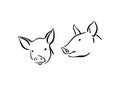 Two hand drawn cute pig sketch illustration. Vector black ink drawing farm animal, outline silhouette isolated on white background Royalty Free Stock Photo