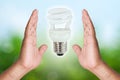 Two hand holding Fluorescent bulb Royalty Free Stock Photo