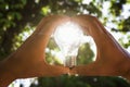 two hand holding light bulb and sunset pass through big tree in Royalty Free Stock Photo