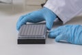 Two hand holding a PCR plate with samples in a scientific laboratory. Royalty Free Stock Photo