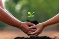 two hand holding small plant for planting in garden. concept earth day Royalty Free Stock Photo