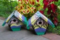 Two Hand-Painted House wren Nest Boxes in the Summer Garden