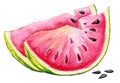 Two hand painted watercolor melon slices with three seeds Royalty Free Stock Photo