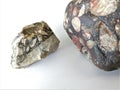 Metaconglomerate and metabreccia rocks Royalty Free Stock Photo