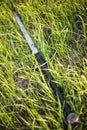 A two-handed sword lies in a tall green grass. The battlefield, after the battle. Crusade, medieval weapons.