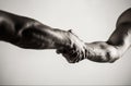 Two hands, arm, helping hand of a friend. Handshake, arms. Friendly handshake, friends greeting. Teamwork and