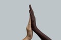 Two hands, black and white, touch with cotton. Grey background. The concept of inter-racial friendship and respect, the