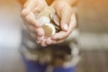 Two hands of child boy holding a pile of silver Thai coins in palm