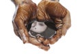 Two hands cupped with black petroleum Royalty Free Stock Photo