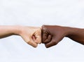 Two hands of different racial colors, punching each other, expressing victory, agreement. The concept of ending racism