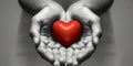 Two Hands Gently Embracing a Bright Red Heart Against a Striking Black and White Background Royalty Free Stock Photo