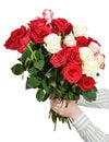 Two hands giving bunch of many roses isolated