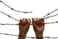 Two hands hanging on the barbed wire Royalty Free Stock Photo
