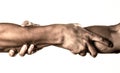 Two hands, helping arm of a friend, teamwork. Helping hand concept and international day of peace, support. Rescue Royalty Free Stock Photo