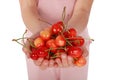 Two hands holding bunch of fresh cherries Royalty Free Stock Photo