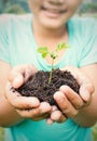 Two hands holding and caring a young green plant Royalty Free Stock Photo