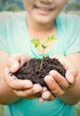 Two hands holding and caring a young green plant