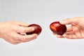 Two hands holding Easter eggs check their strength on a light background