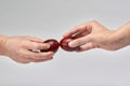 Two hands holding Easter eggs check their strength on a light background