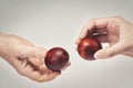 Two hands holding Easter eggs check their strength on a light background