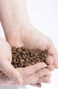 Two hands holding fresh roasted coffee. Royalty Free Stock Photo