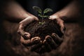 Two Hands holding the soil with a small seedling