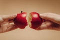 Two hands holding a split red apple. One half has a bite taken out. The background is a soft beige color, creating a simple and Royalty Free Stock Photo