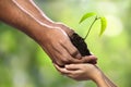 Two hands holding together a green young plant Royalty Free Stock Photo
