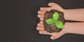 Two Hands holding young plants on the soil. Plant in hand on black background. Plant sapling on hand Top view. Copy space for Royalty Free Stock Photo