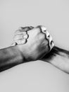 Two hands, isolated arm, helping hand of a friend. Handshake, arms. Friendly handshake, friends greeting. Male hand