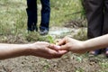 Two hands joined with a plant in the middle in a garden with people watching gardening Royalty Free Stock Photo