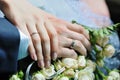 Two hands of just married couple holding each over Royalty Free Stock Photo