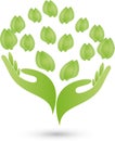 Two hands and leaves, naturopath and wellness logo Royalty Free Stock Photo