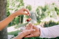 Two hands lovers rings double cherry Royalty Free Stock Photo